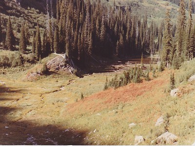 Upper Siamese Lake 1982