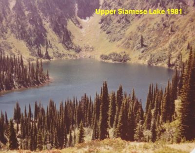 Siamese Lake 1981