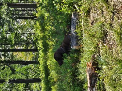 Skye at Leo Lake 2024