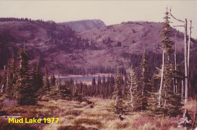 Mud Lake 1977