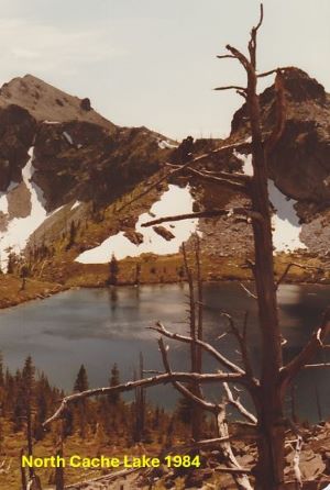 North Cache 1984
