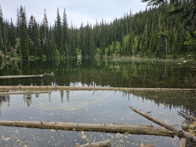 North Montana Lake 2025