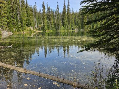 North Montana Lake 2025
