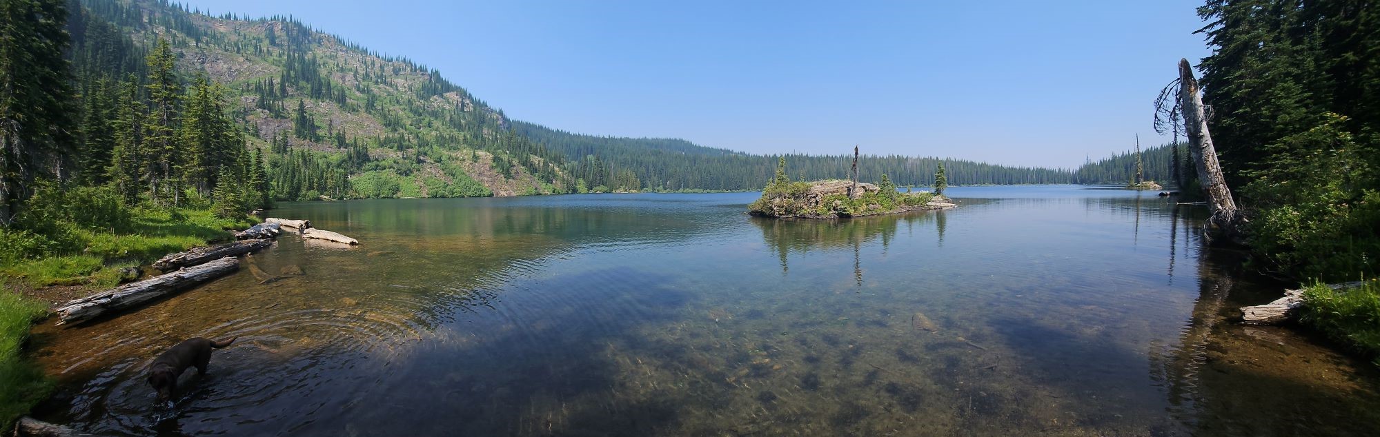 South Cedar Log Lake