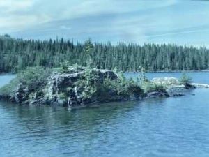 South Cedar Log Lake