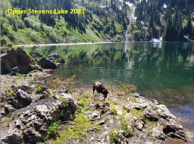 Upper Stevens Lake 2021