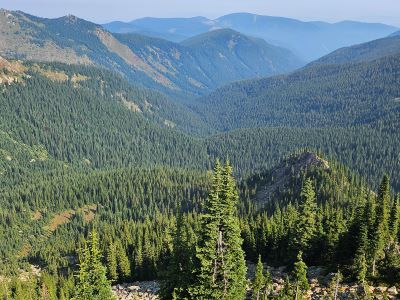 Looking Down Dry Creek