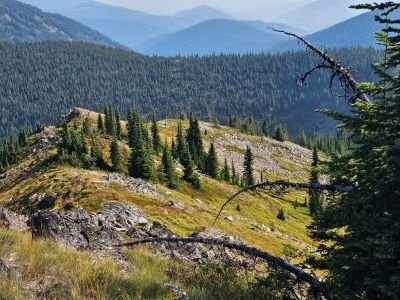 Looking Down the East Ridge