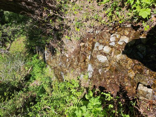 Creek Down the Trail