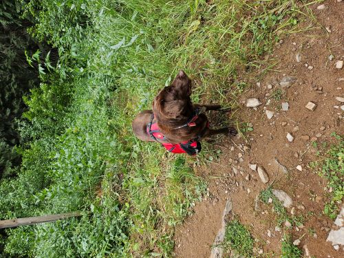 Skye Along the Trail