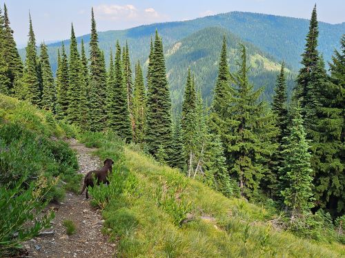 Heading Down to Vann Lake