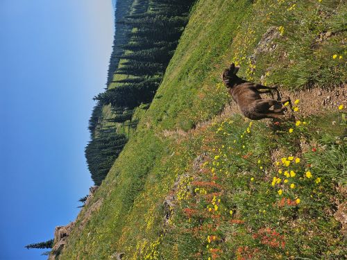 Skye Along the Trail