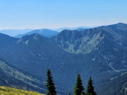 Harrington Chilcoot style=