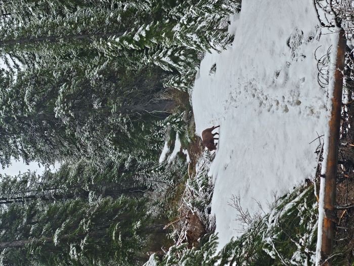 On the Trail May 2024