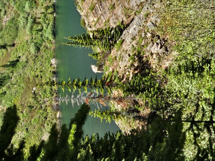 Goat Above Heart Lake