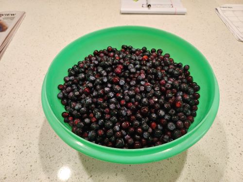 Huckleberries