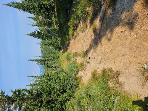 Junction with Trail 171