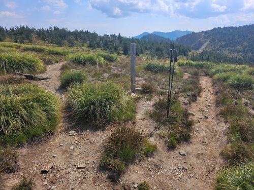 Junction 738 & 175 Above Dalton Lake
