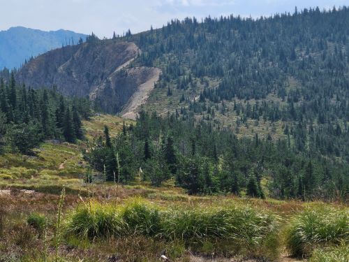 Stateline Trail Above Dalton Lake