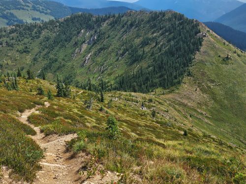 Trail #175 to Saddle