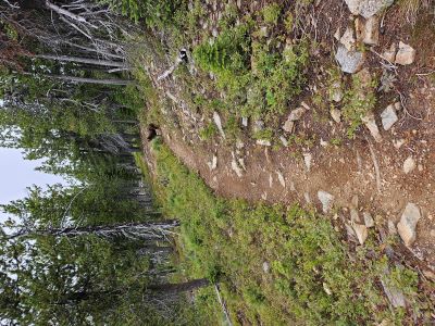 Along the State Line Trail