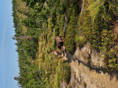 State Line Trail #738
