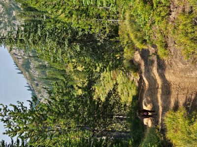 State Line Trail #738