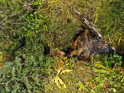 Only Water Between Dry & Cedar Creeks