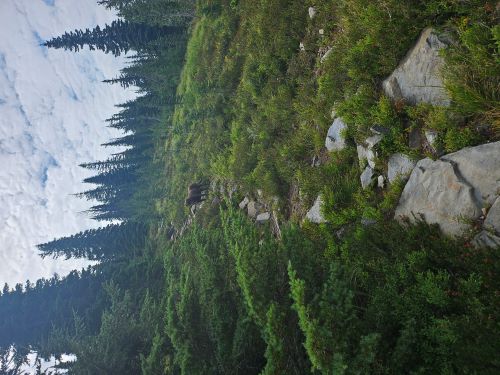 Trail Around to the Meadow