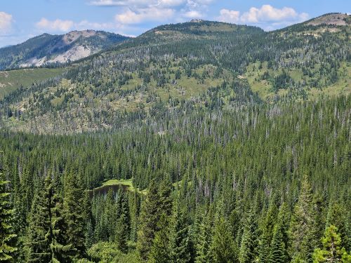 Looking Back at Route & Smokey Lake