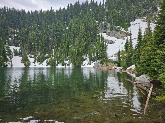 Pear Lake in June