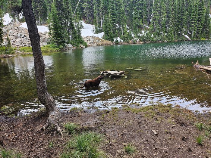 Pear Lake in June