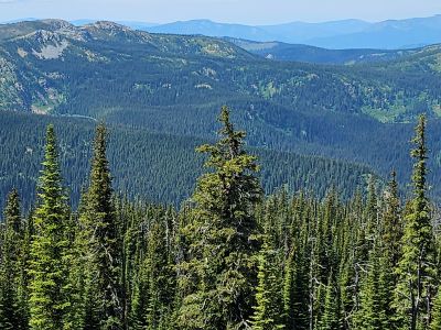 Both Cedar Log Lakes