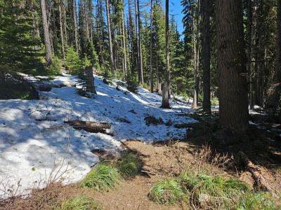 Along Trail 696