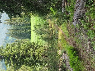 Meadows of Goose Creek