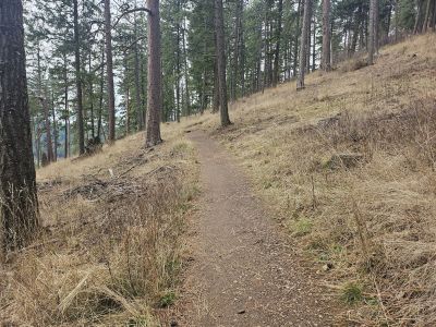 Mineral Ridge Recreation Area trail