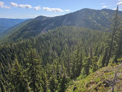 Looking back at Glidden Pass