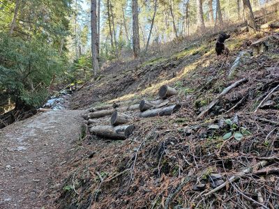 Trail From Ferry Landing TH