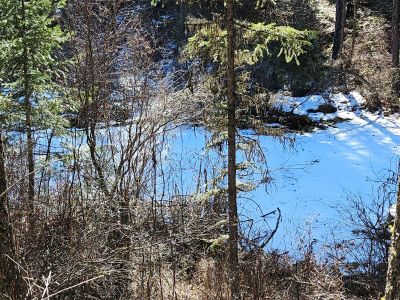 Frozen Ponds Along Trail