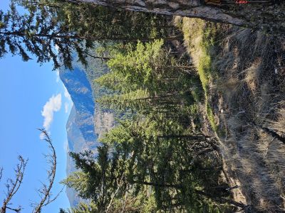 Looking to Cascade Falls