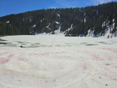 Lower St. Regis Lake