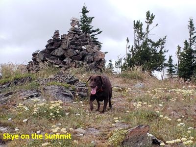 Skye on Summit
