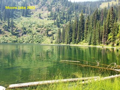 Moore Lake 2021
