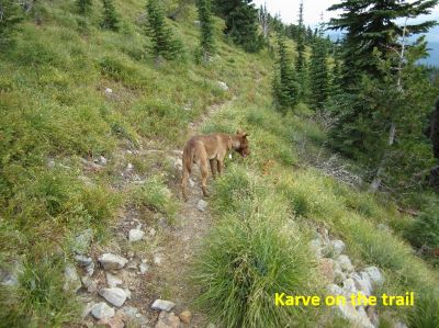 Karve on Trail