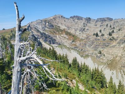 Ward Peak from East Ridge