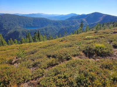 Along the Ridge Trail