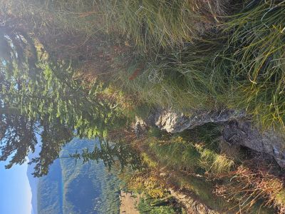 Part of Trail Near Saddle