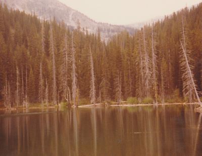 Lower Oregon Lake 1980