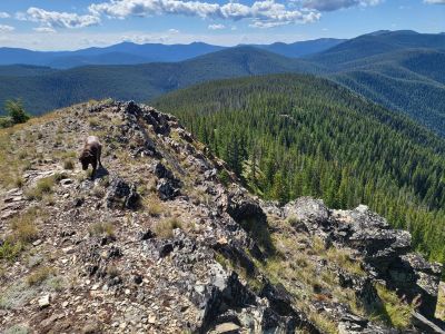 Looking to State Line