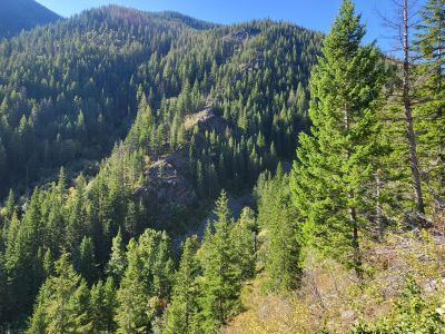 Sheep Mtn Junction Sign